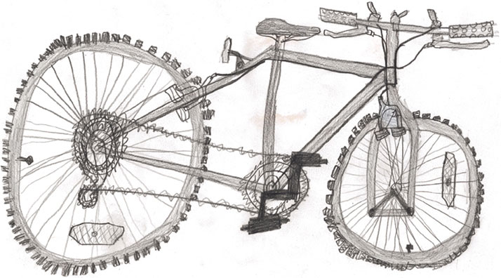 Visual Arts: Drawing Bicycles - Morgan