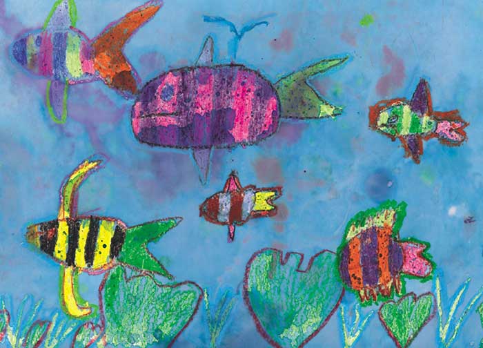Visual Arts: Fish and Sea Creatures - Kerry
